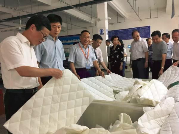 太湖县党政代表团来js333国际线路检测公司考察工作