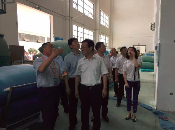 太湖县党政代表团来js333国际线路检测公司考察工作