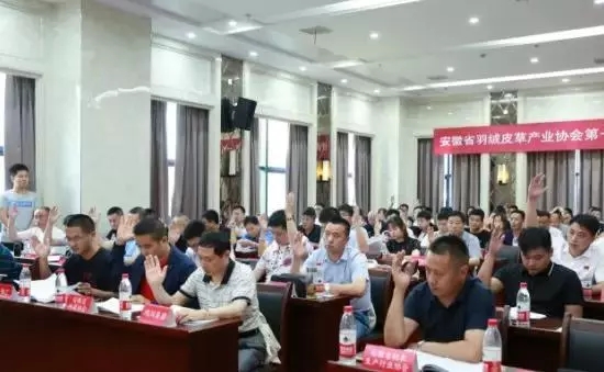 安徽省羽绒皮草产业协会成立，夏吉国总裁任第一届理事会顾问
